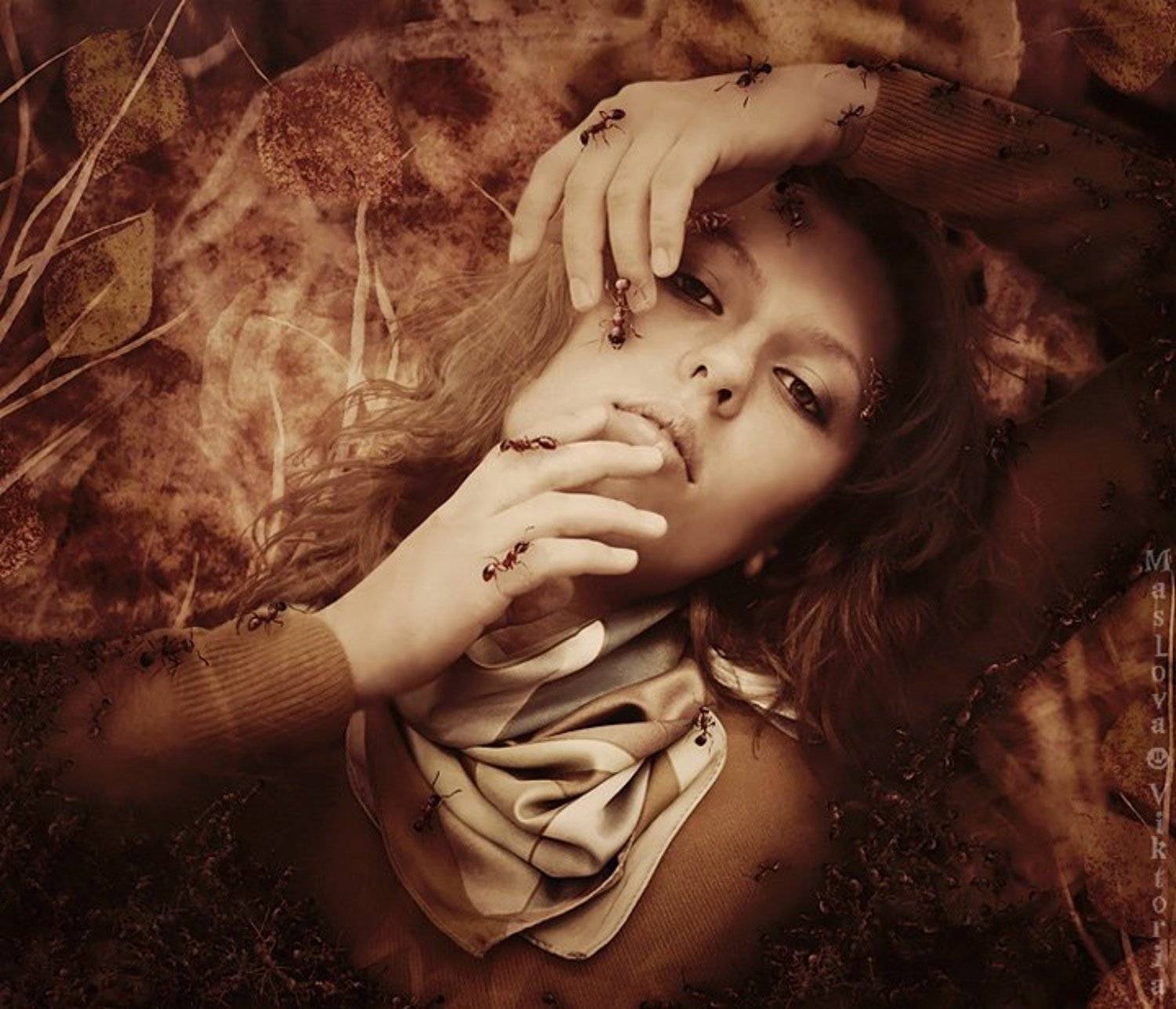 ***. Автор: bioskiss , bioskiss