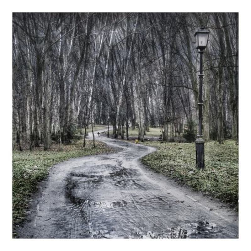 art, photo, autumn, old, park, fog photo preview