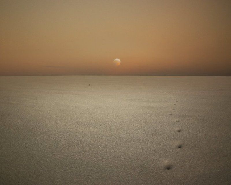 По следам лунного зайца.photo preview