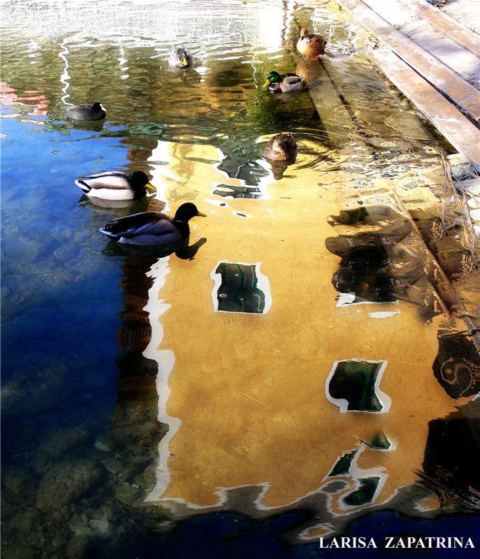 wolfangsee Озерный крайphoto preview