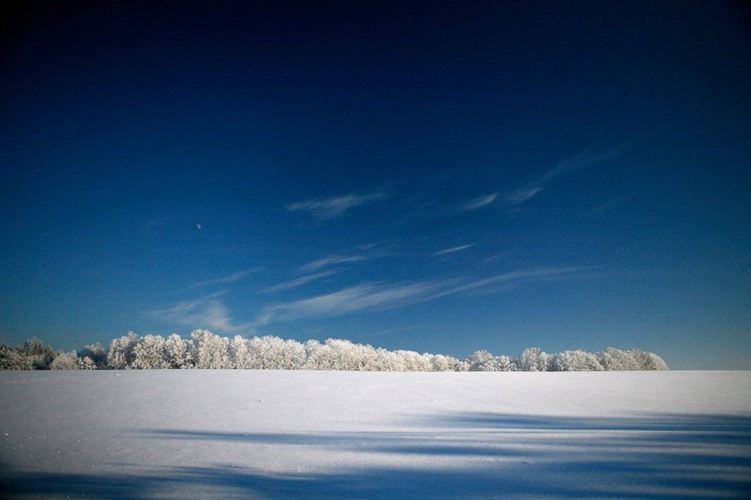 ***. Автор: Lelya мороз, холод, природа, гринево, Lelya