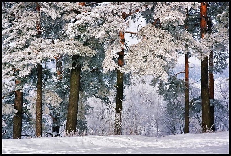 Сказка на Рождествоphoto preview