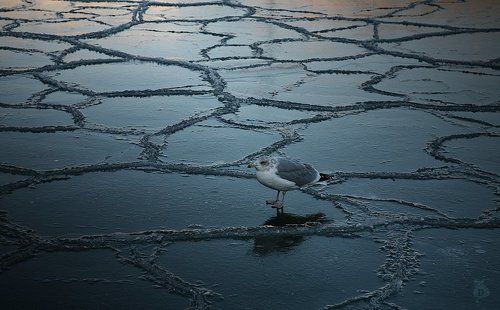 Зеркало треснуло