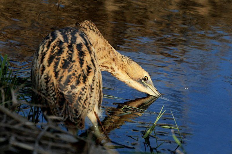 Улыбкаphoto preview