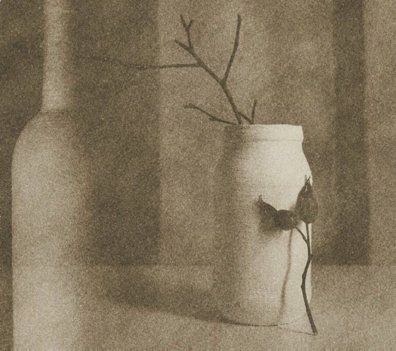 натюрморт с шиповникомphoto preview