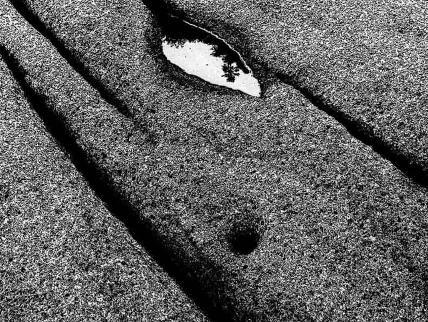 и если уходишь навеки, спеши оглянуться...(с). Автор: Andrew Ni , Andrew Ni