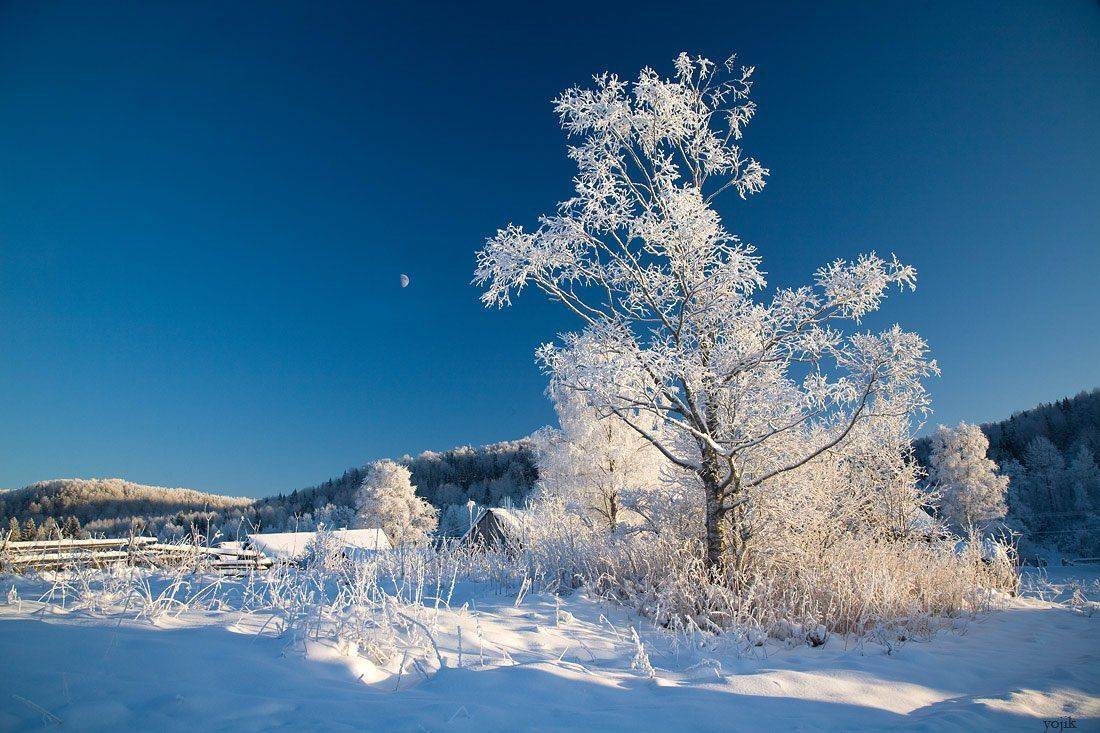 , Милый Ёжка