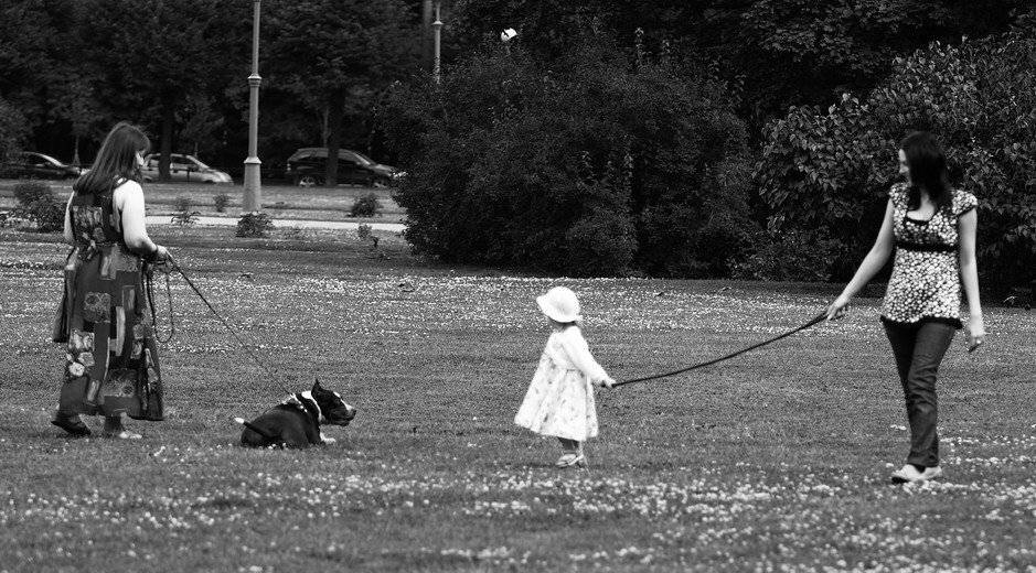 , Алексей Рябов