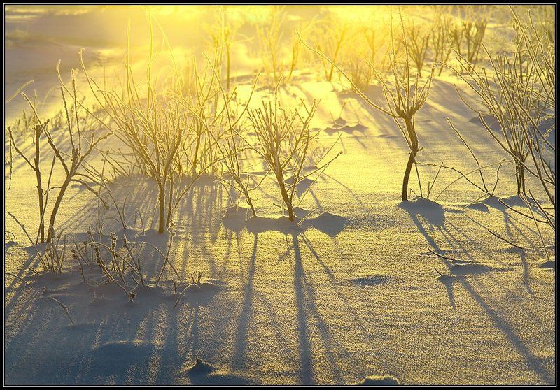 Зимняя зарисовкаphoto preview