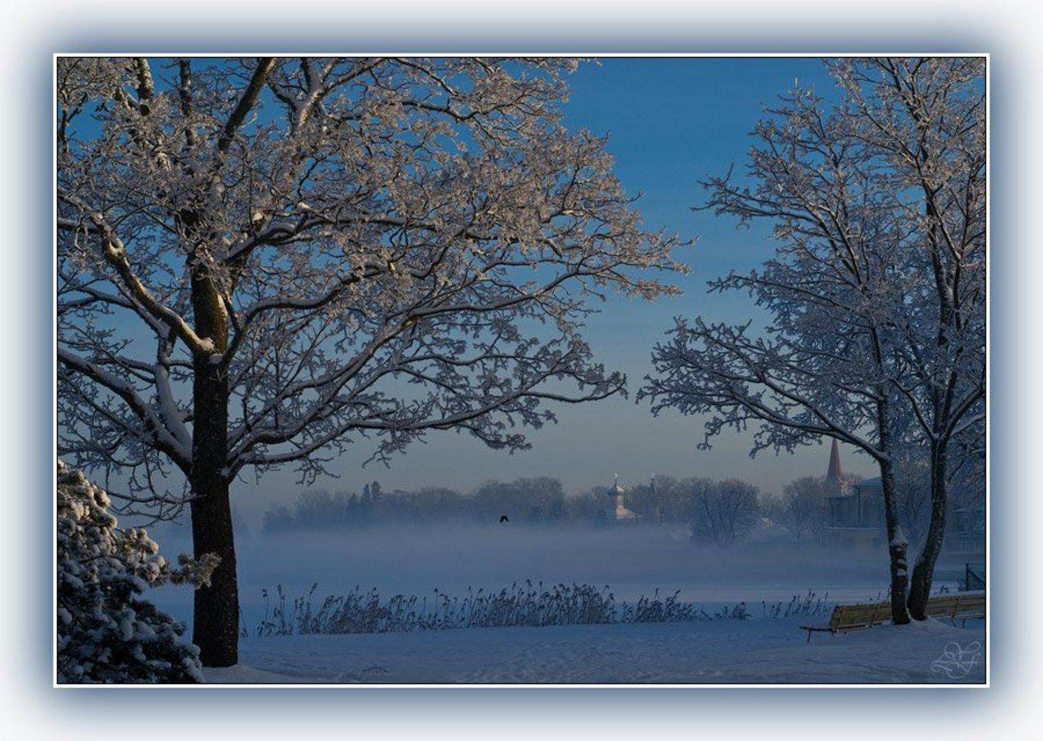 хаапсалу, туман, вечер, сквер, залив, лукьяненко, ОчСпок
