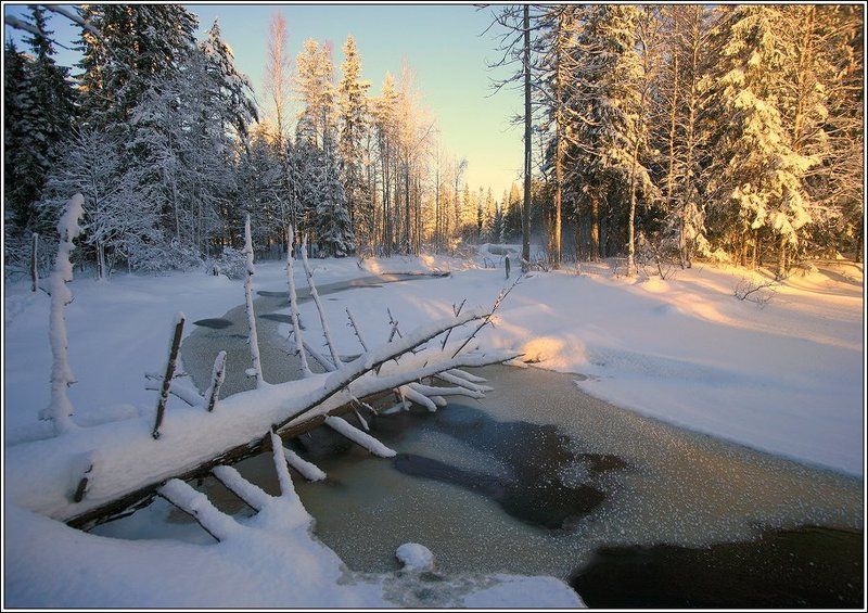 Зимняя речкаphoto preview