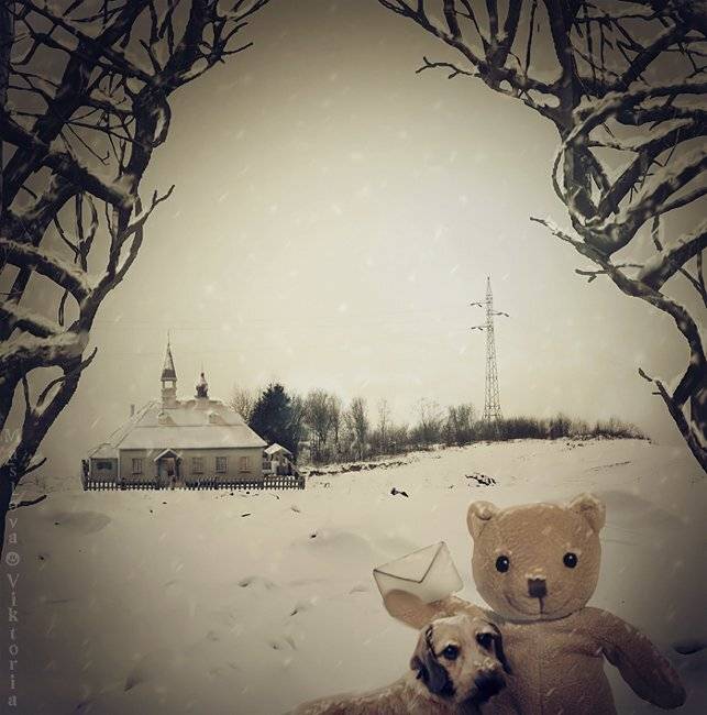 Под теплым одеялом. Автор: bioskiss , bioskiss