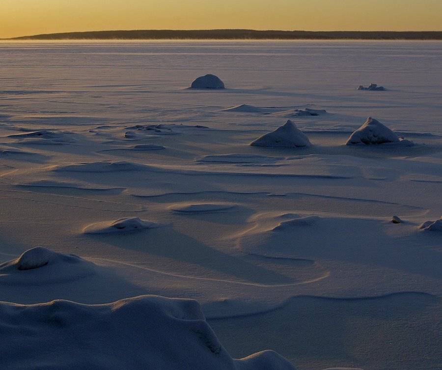 Безмолвие. Автор: Borsov Michail , Borsov Michail