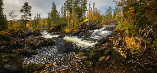 Autumnal woodland scenery