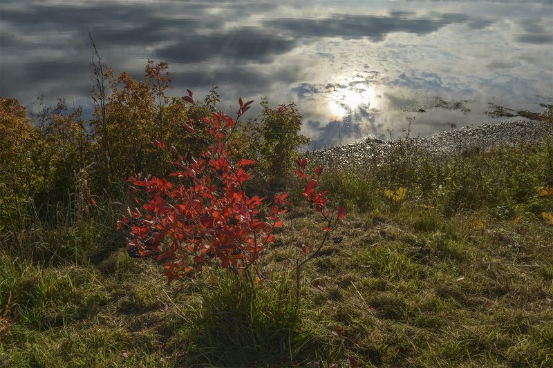 Осенняя фантазия.photo preview