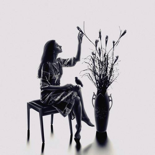 The Flowers in The Vase