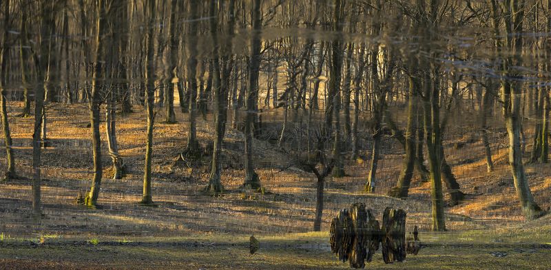 Отражения 3photo preview