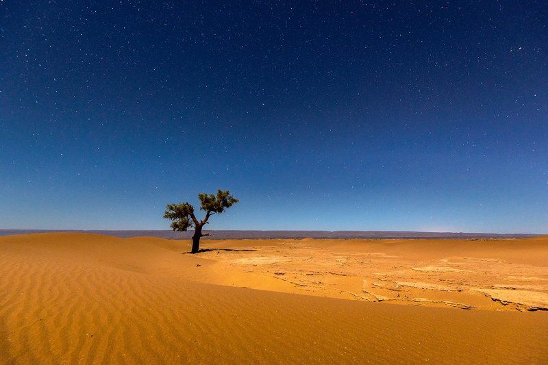 Ночьphoto preview