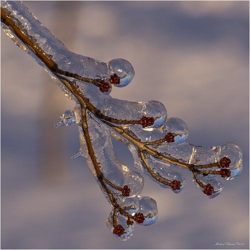 Dream in a crystal