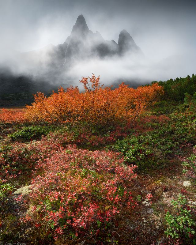 озероджекалондона, челленджер, магадан, колыма Таинственный Челленджерphoto preview