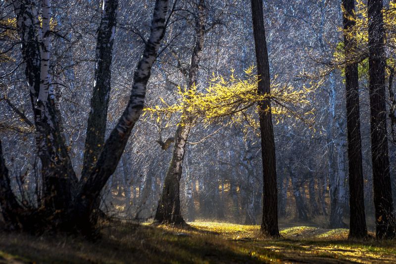 *******photo preview