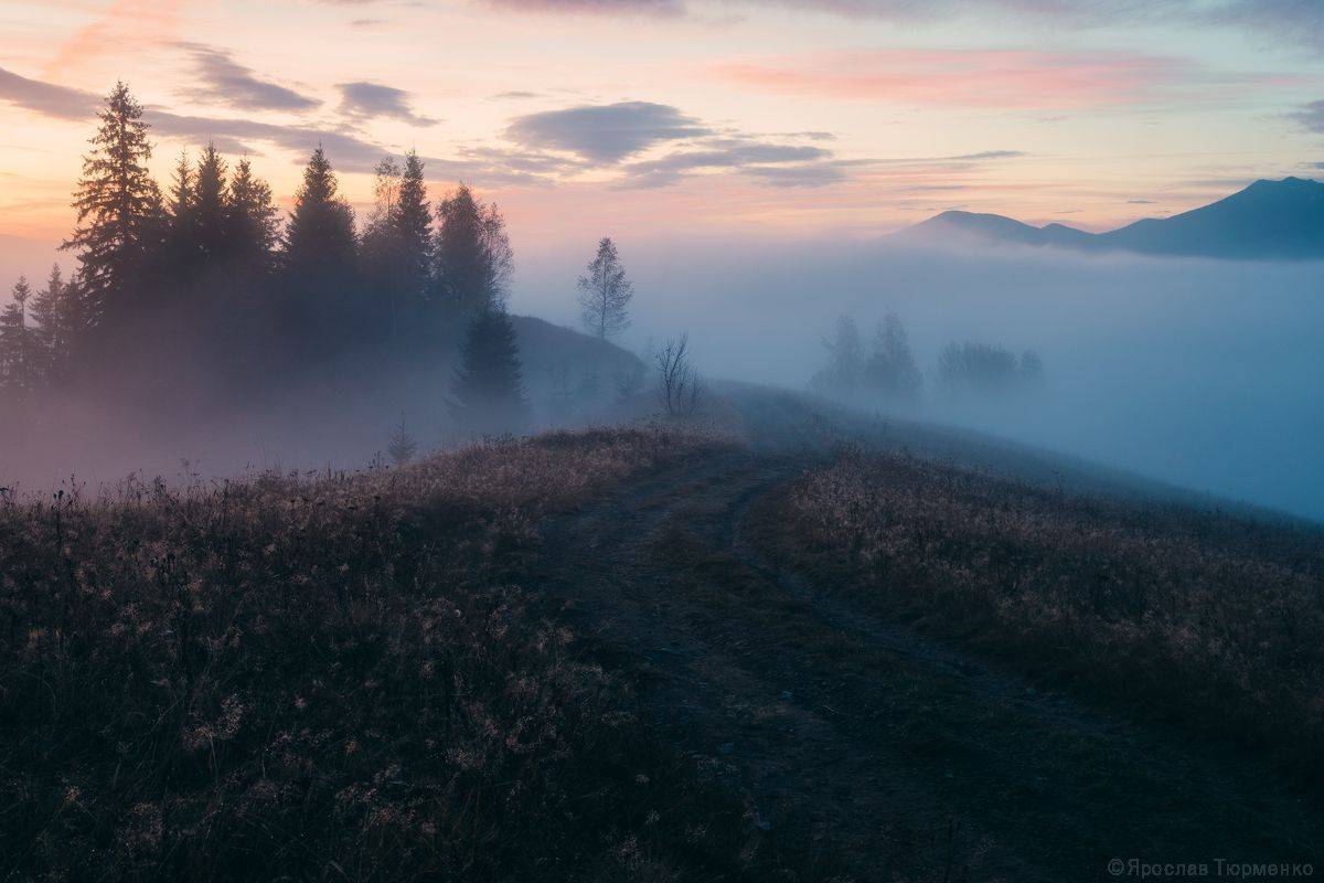 , Ярослав Тюрменко (Jaremi)