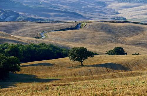 Хлеба убраны