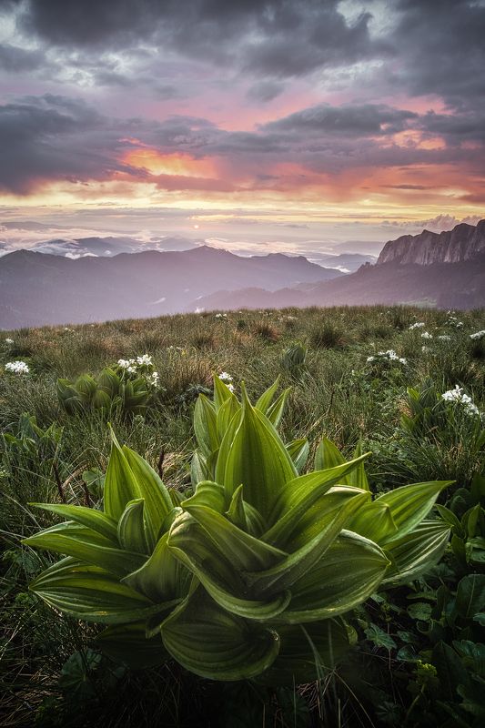 Многоликий Большой Тхачphoto preview
