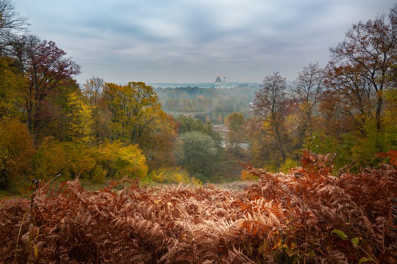 Краски осени.photo preview