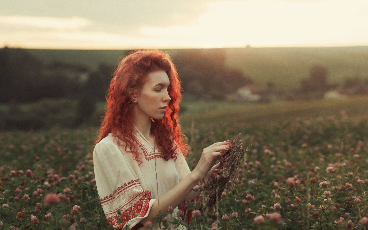 Клевер. Автор: Serge Zhodik , Serge Zhodik