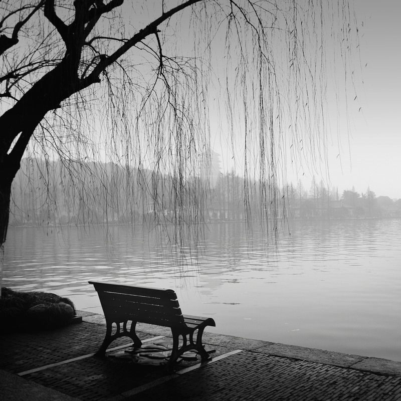 #photography #monochrome #fineart A hundred years of lonelinessphoto preview