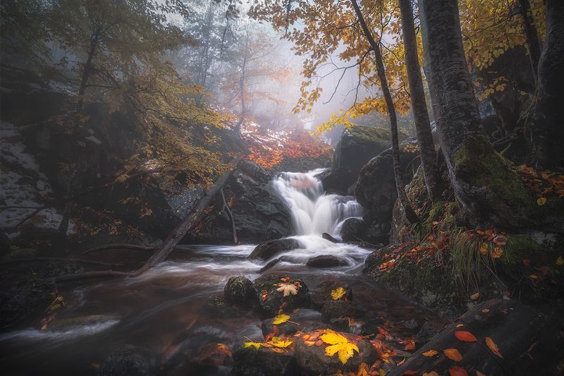 Autumn inspiration / Осеннее вдохновение