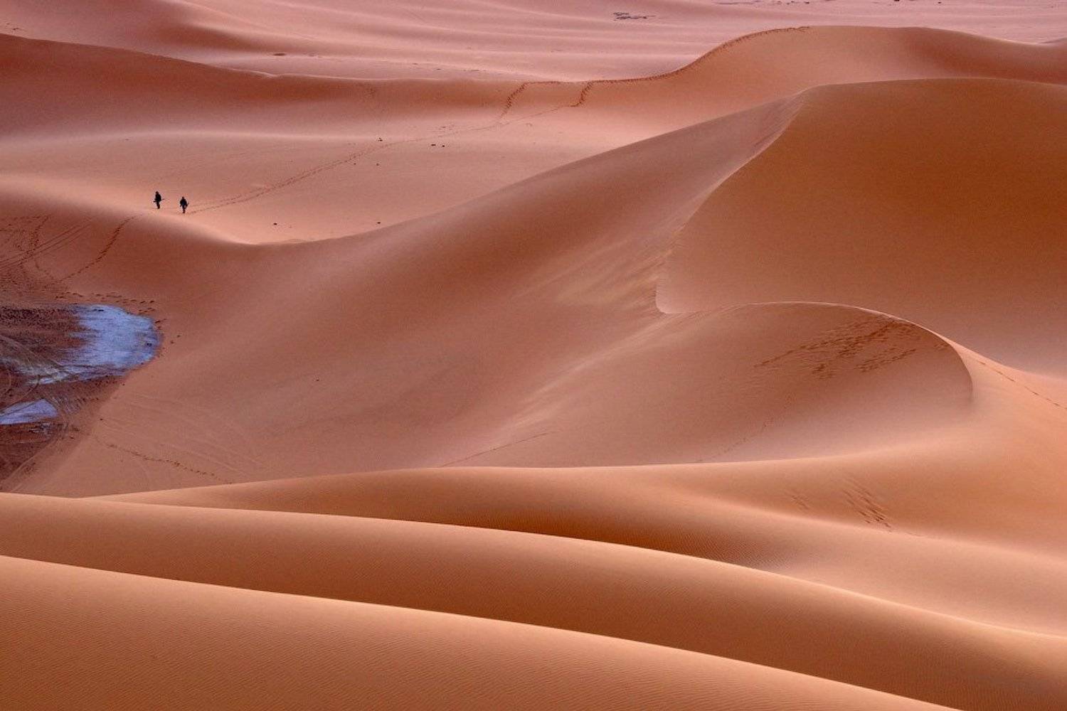 , Алексей Харитонов