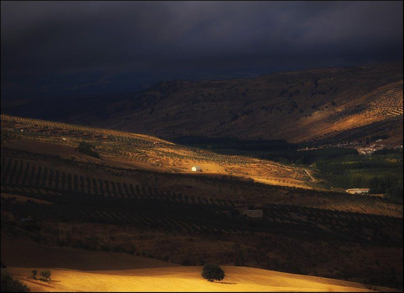 Про белый домикphoto preview