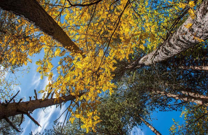 Северный Кавказ, Кабардино-Балкария, Адыр-Су, осень, горы, Конец сентября, ущелье Адыр-Су КБРphoto preview