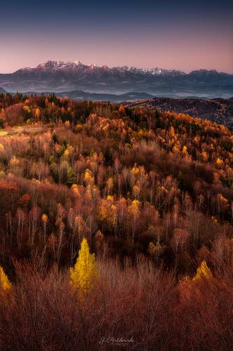 Autumn view