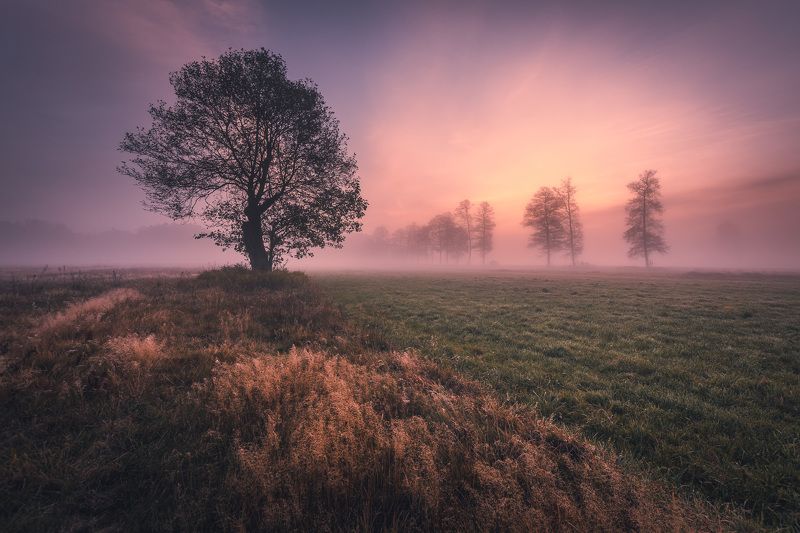 Peace and quietphoto preview