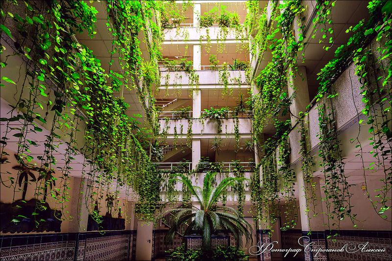 будущее, заброшенный город, урбанизация, эко дом, экология, заленая планета, фильм я легенда 2, кино, фантастика, future, abandoned city, urbanization, eco house, ecology, a meal planet, i am legend 2 movie, film, movies, fiction Заброшенный дом в 2027 году, кадр из фильма Я легенда 2photo preview