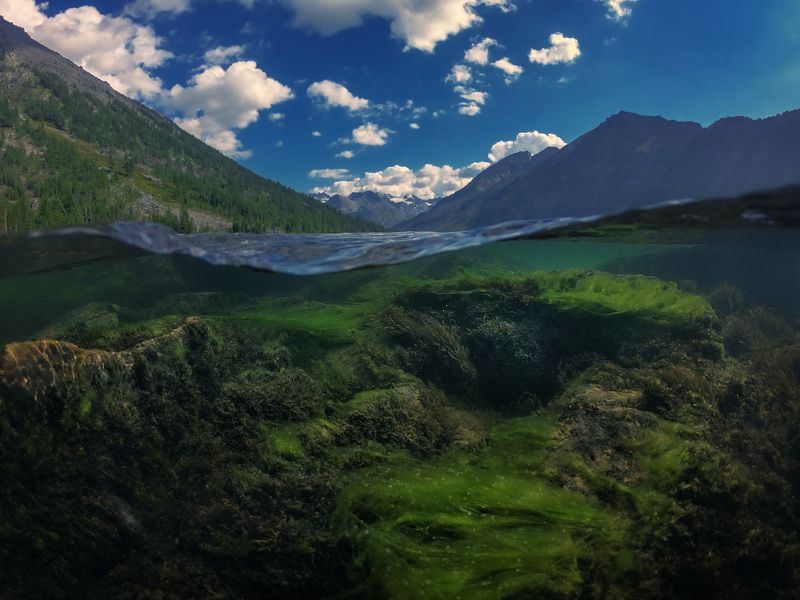 Алтайphoto preview