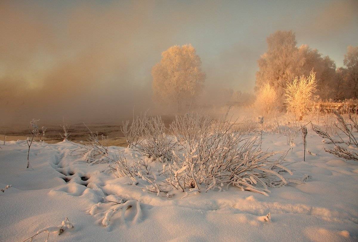 ***. Автор: Александр Коротков , Александр Коротков