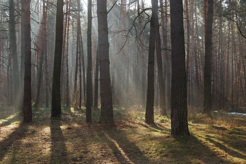 пришла...!photo preview