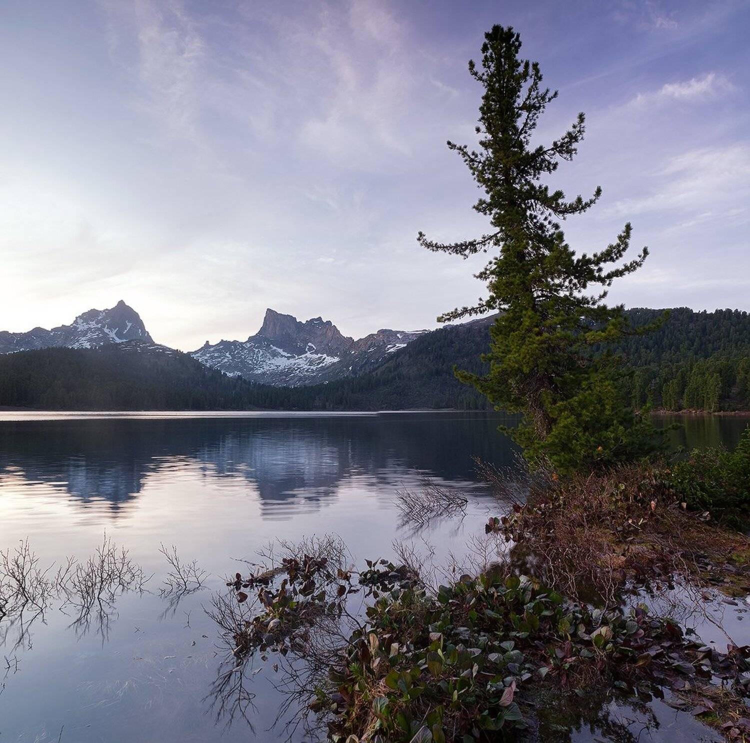 , Лещёнок Александр