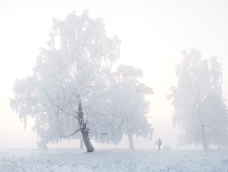 зима, зимний пейзаж, пейзаж ,снег, мороз, туман, winter, fujifilm О зимней фотографии...photo preview