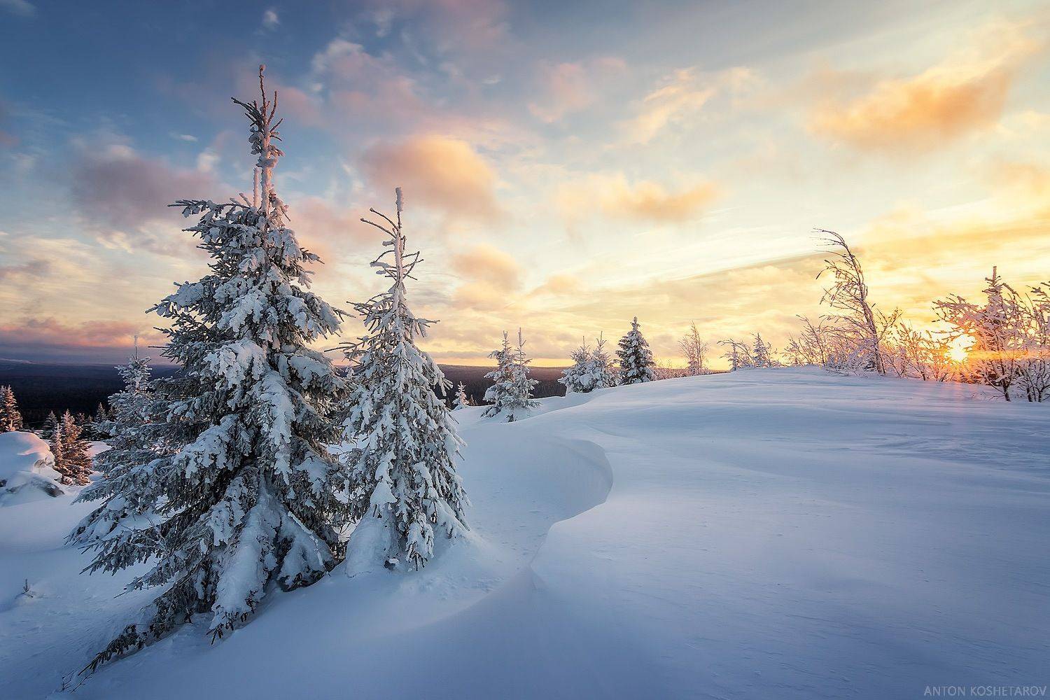 , Антон Кошетаров