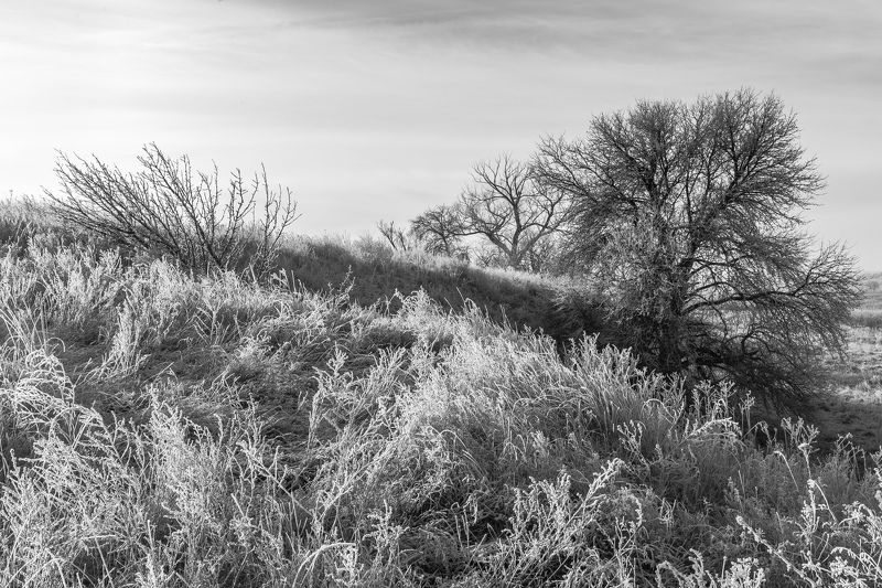 Морозное утро в ЧБ светеphoto preview