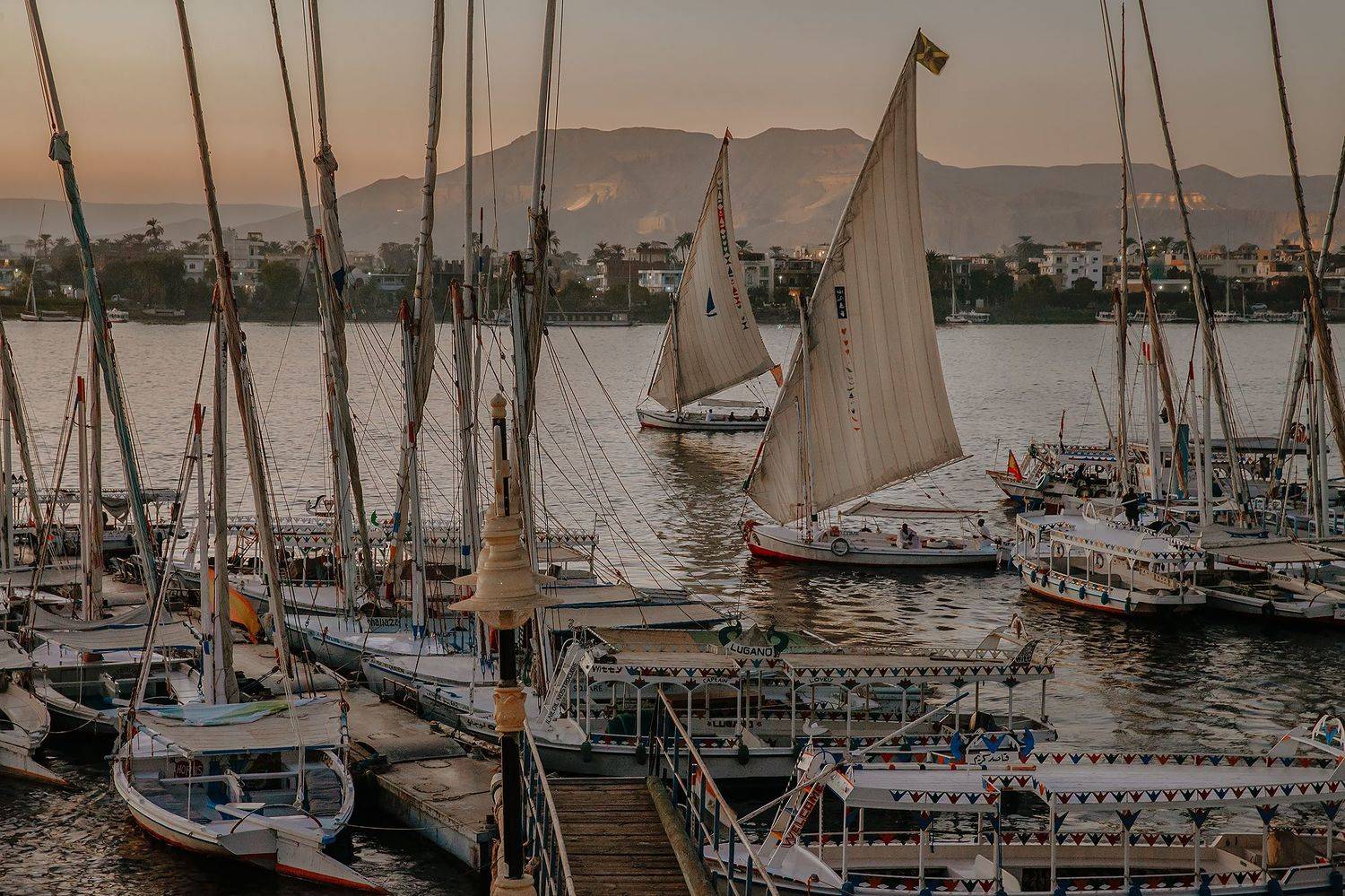 Фелуки на закате. Автор: Анастасия Колесникова египет, луксор, парус, нил, река, природа, путешествие, город, море, отдых, Анастасия Колесникова