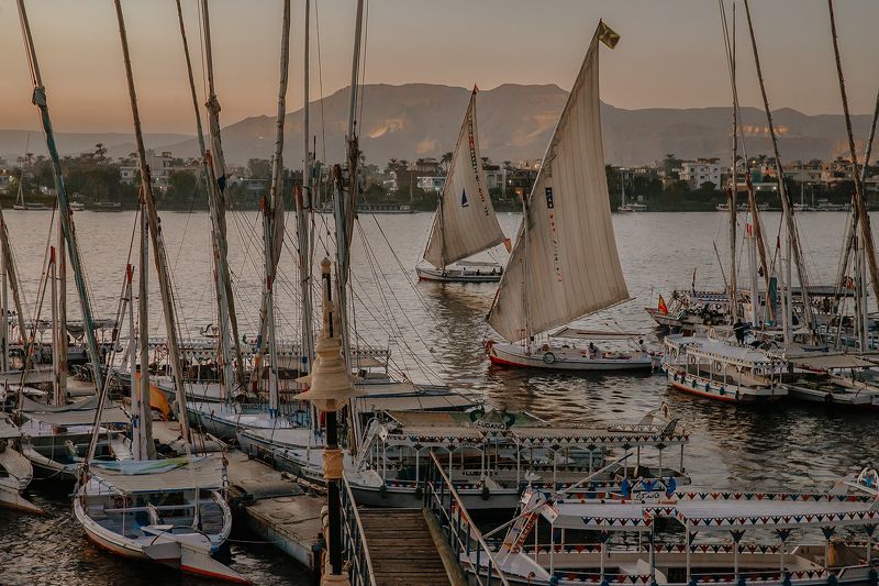 египет, луксор, парус, нил, река, природа, путешествие, город, море, отдых Фелуки на закатеphoto preview