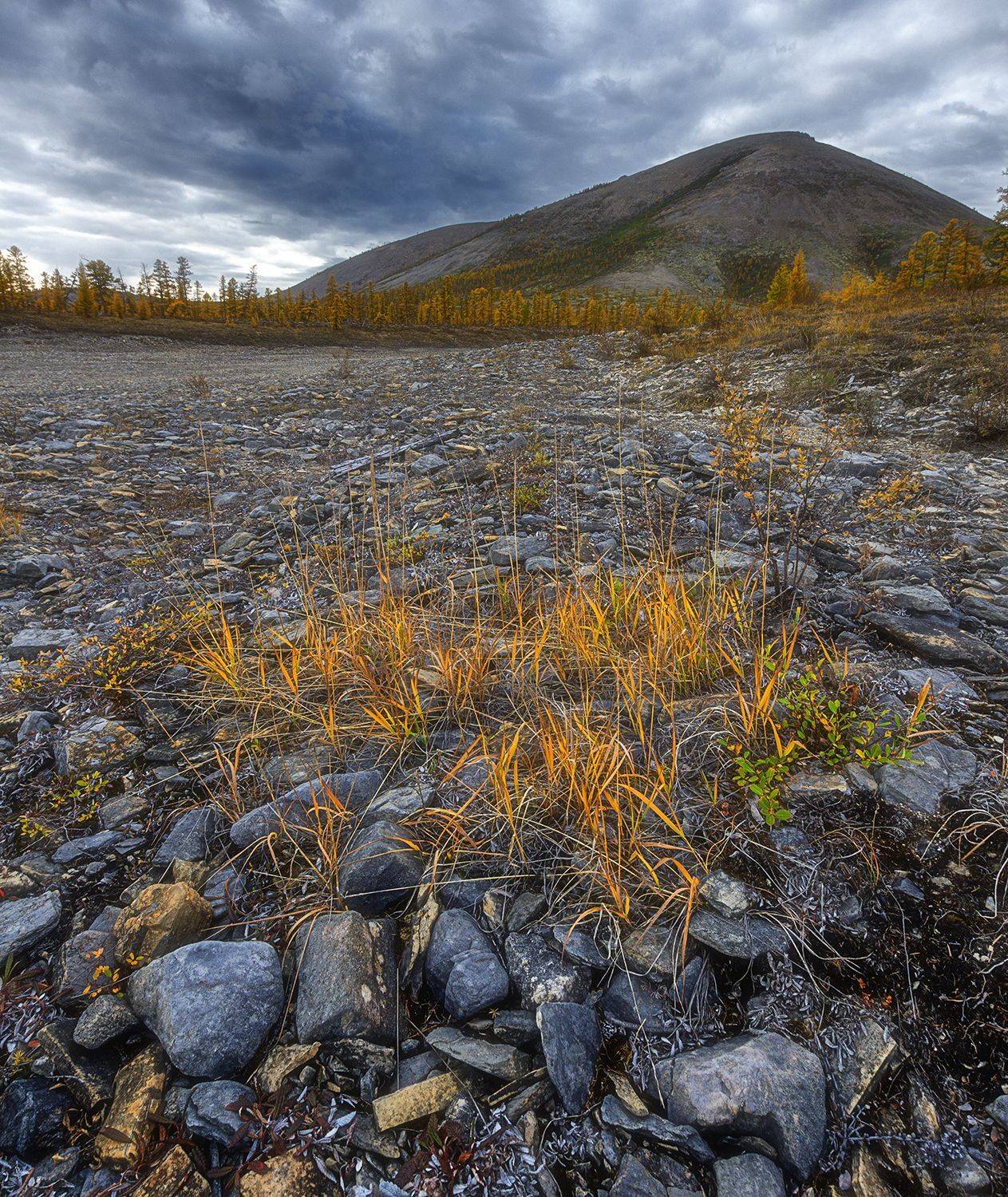 , Николай Андреев