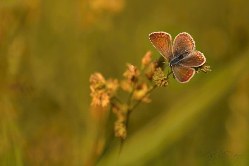 Это он, весна?photo preview