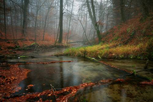Autumn mood